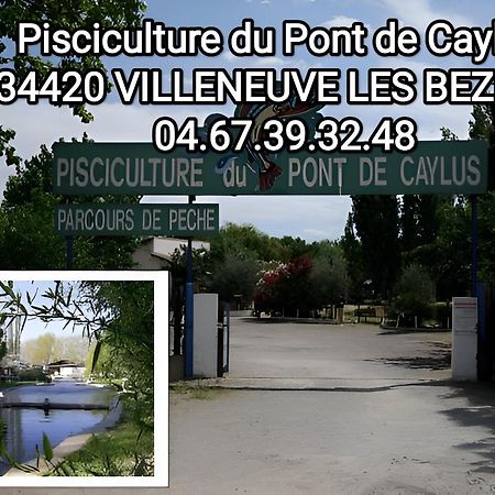 Tiny House 3 Personnes Soeursgrises Beziers Centre Historique Coeur De L'Herault Capitale D'Occitanie Exterior foto