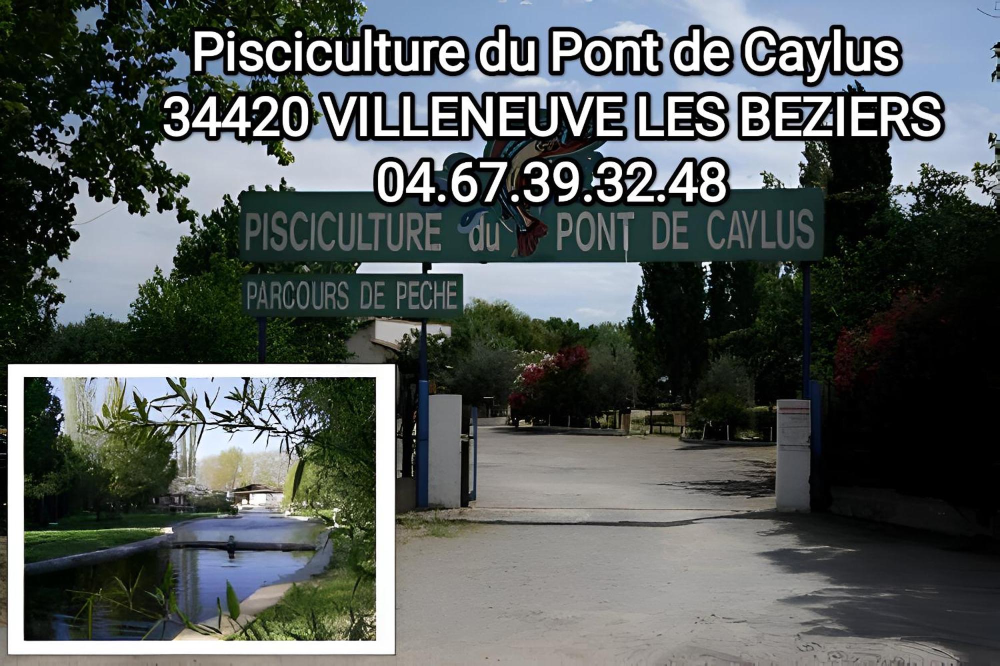 Tiny House 3 Personnes Soeursgrises Beziers Centre Historique Coeur De L'Herault Capitale D'Occitanie Exterior foto